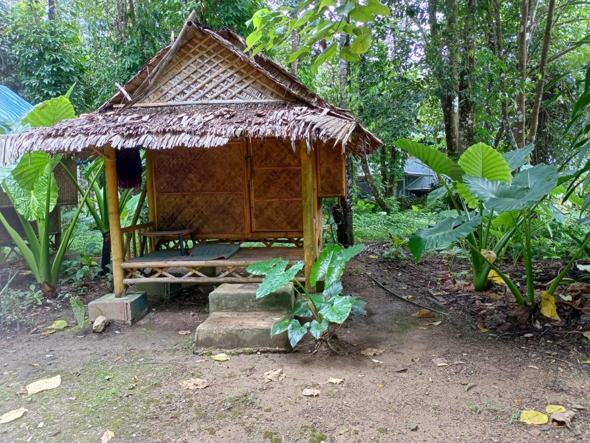 Khai Jungle Experience Camp & Tour Apartment Khao Sok National Park Ngoại thất bức ảnh